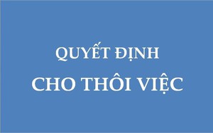 Hướng dẫn thủ tục thôi việc đối với công chức