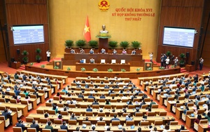 Thông qua Nghị quyết THÀNH LẬP THÀNH PHỐ QUẢNG NINH