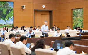 Các doanh nghiệp có doanh thu dưới 100 tỷ đồng sẽ được áp dụng phương pháp nộp thuế đơn giản hóa