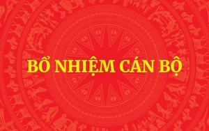 QUY ĐỊNH MỚI: Tiêu chuẩn, điều kiện bổ nhiệm công chức giữ chức vụ lãnh đạo, quản lý