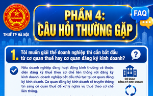 Những câu hỏi thường gặp khi mã số thuế ở trạng thái 03, 06