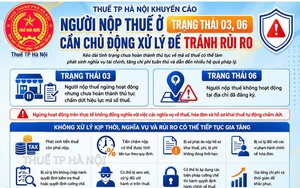 Khuyến cáo người nộp thuế ở trạng thái 03, 06: Cần chủ động xử lý để tránh rủi ro