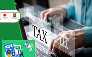 Cục Thuế chỉ đạo công khai thông tin người nộp thuế trạng thái 03-06