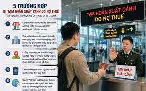 Hướng dẫn triển khai biện pháp tạm hoãn xuất cảnh theo Nghị định 252/2026/NĐ-CP