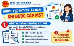 Ngay sau khi được cấp mã số thuế, người nộp thuế cần làm gì?