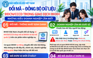 Những điều doanh nghiệp cần biết về đổi mã - đồng bộ dữ liệu căn cước công dân trong giao dịch BHXH