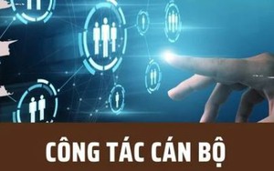 Quy định về việc bổ nhiệm, cho thôi giữ chức vụ, từ chức, miễn nhiệm, tạm đình chỉ công tác nhân sự doanh nghiệp