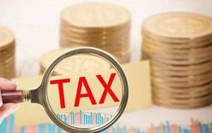 Mức phạt vi phạm thời hạn thông báo thay đổi thông tin đăng ký thuế