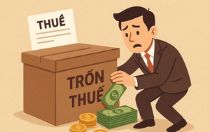 Quy định mới về xử phạt hành vi trốn thuế