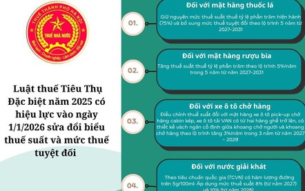 Biểu Thuế tiêu thụ đặc biệt theo Luật số 66/2025/QH155 áp dụng từ 01/01/2026