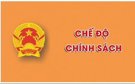 Chính sách đối với cán bộ, công chức, viên chức, người lao động và lực lượng vũ trang đã đủ tuổi nghỉ hưu thấp nhất nghỉ việc ngay do sắp xếp bộ máy