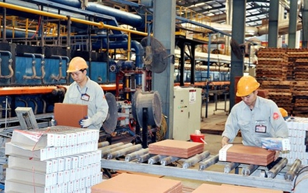 Sớm hoàn thiện chính sách, pháp luật và cơ chế thực thi hiệu quả để cá nhân, hộ kinh doanh phát triển thành doanh nghiệp nhỏ và vừa