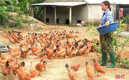 Kết thúc hoạt động và giải thể Quỹ Hỗ trợ Phụ nữ nghèo trực thuộc Hội Liên hiệp Phụ nữ Việt Nam
