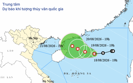 Tin ÁP THẤP NHIỆT ĐỚI, CẢNH BÁO MƯA LỚN, LŨ QUÉT, SẠT LỞ ĐẤT và các chỉ đạo ứng phó