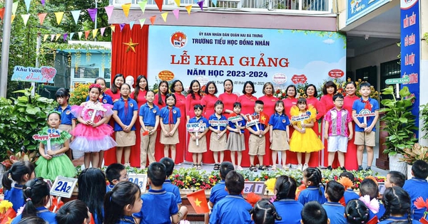 Định mức giáo viên, giáo vụ, kế toán trong trường Tiểu học