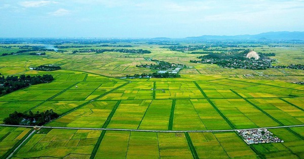 Kết quả thống kê diện tích đất đai của cả nước năm 2023