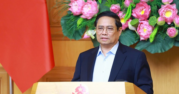 Thủ tướng yêu cầu rà soát, sửa đổi, bổ sung các quy định về quản lý biên chế, tiêu chuẩn viên chức giáo dục