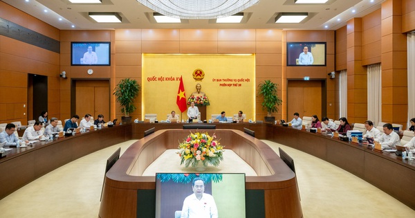 Những điểm chính của quyết định