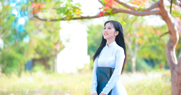 Tuyển sinh lớp 10 THPT: Những đối tượng nào được tuyển thẳng, cộng điểm ưu tiên?