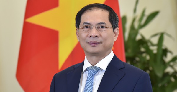 TIỂU SỬ ĐỒNG CHÍ BÙI THANH SƠN, PHÓ THỦ TƯỚNG CHÍNH PHỦ