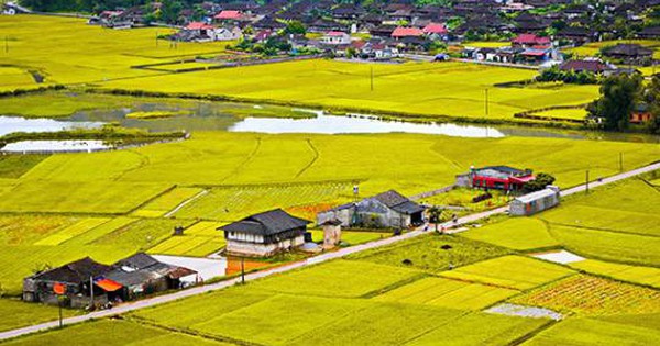 Mức thu tiền sử dụng đất khi chuyển đất nông nghiệp sang đất ở từ 1/12026