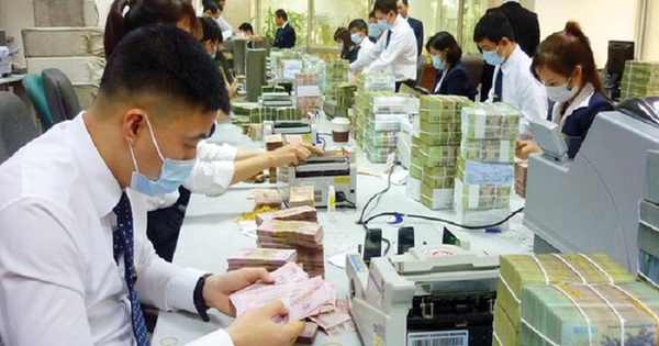 Chính phủ quy định quản lý, sử dụng vốn, tài sản của tổ chức tín dụng