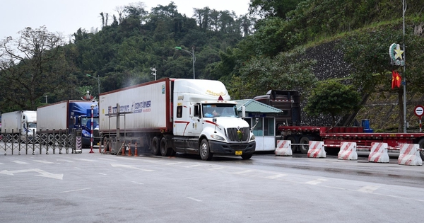 TOÀN VĂN: Nghị quyết 09/2026/NĐ-CP về tạm ngưng Nghị định 46/2026/NĐ-CP hướng dẫn thi hành Luật An toàn thực phẩm