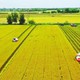 Nghị quyết 216/2025/QH15 kéo dài thời hạn miễn thuế sử dụng đất nông nghiệp