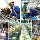 TÁI CƠ CẤU HỆ THỐNG, PHÁT TRIỂN CÁC DOANH NGHIỆP "ĐẦU ĐÀN" DẪN DẮT THỊ TRƯỜNG, KẾT NỐI CHUỖI GIÁ TRỊ