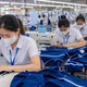 Nghị định 283/2026/NĐ-CP Quy định xử phạt vi phạm hành chính lĩnh vực lao động, BHXH...